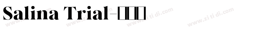 Salina Trial字体转换